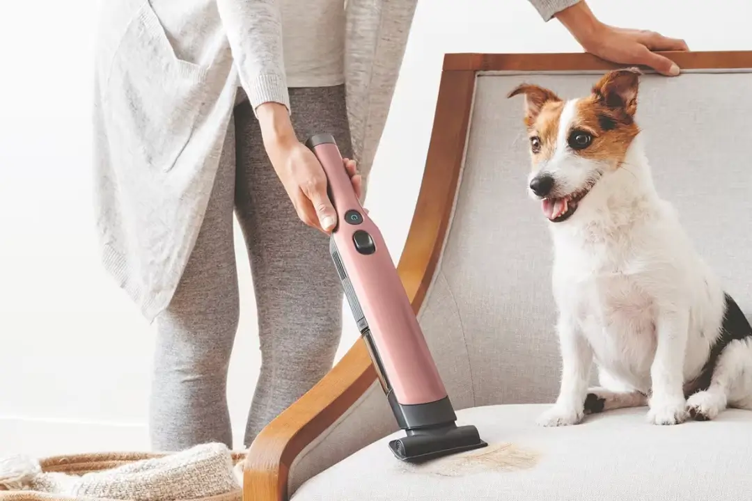 Win a Shark WandVac