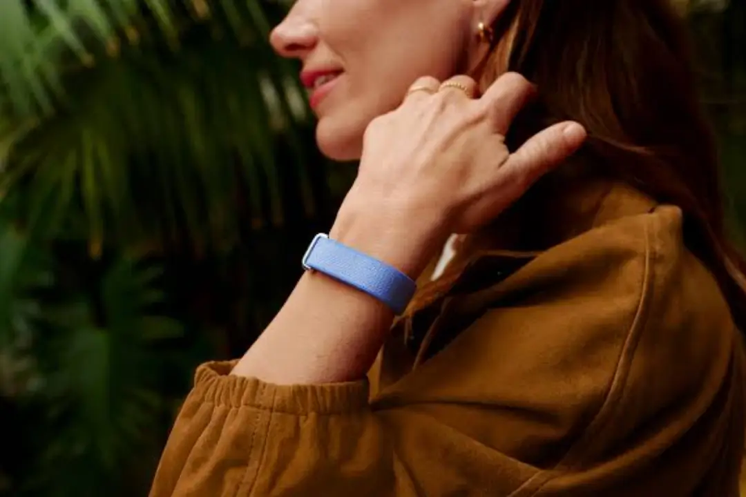 Google Fitbit Air